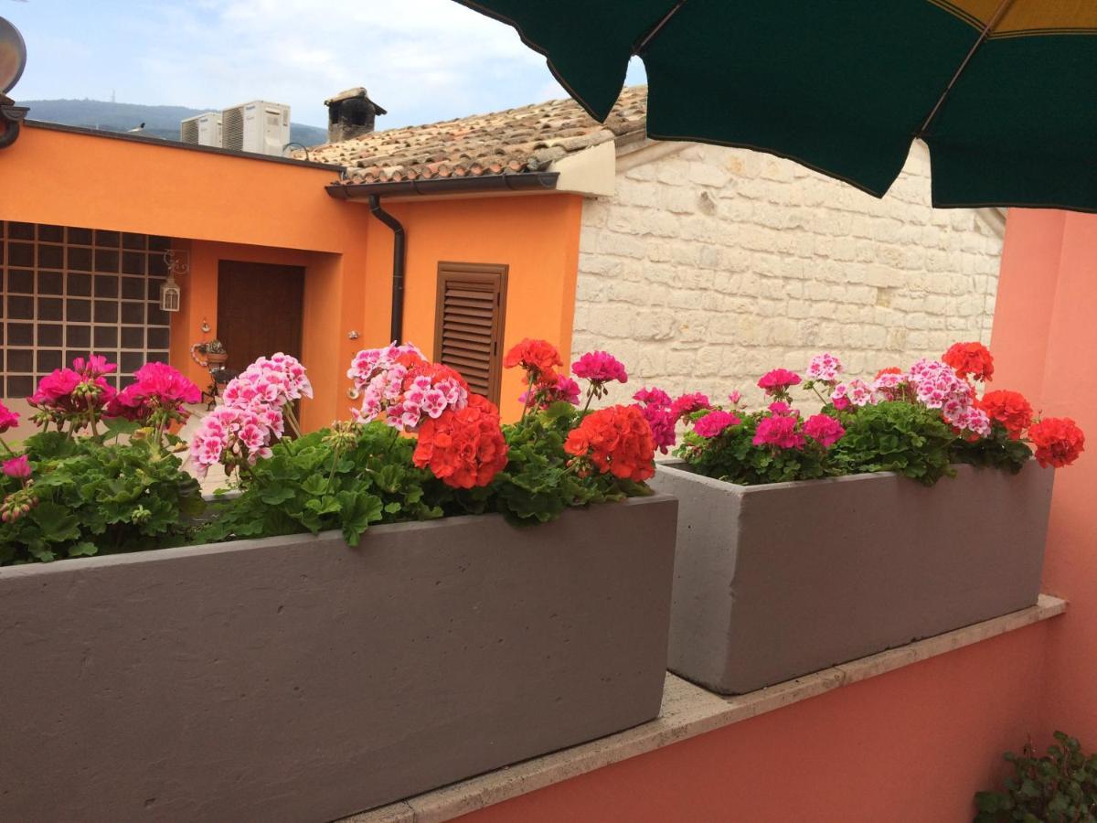 Hotel "Il Parco" B&B Сироло Экстерьер фото